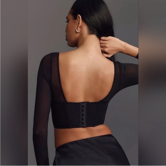 NWT By Anthropologie Long-Sleeve
Mesh Crop Top, Size XL - Picture 3 of 14